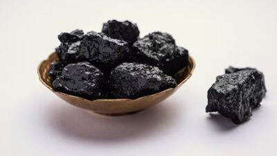 Shilajit CoituslifeSciences